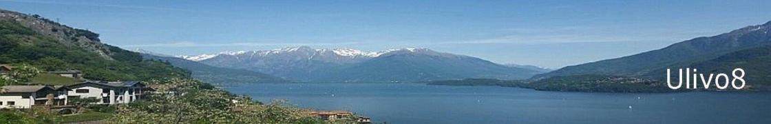 ulivo8 banner 2025-08-16D_1400